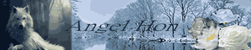Angel Hon